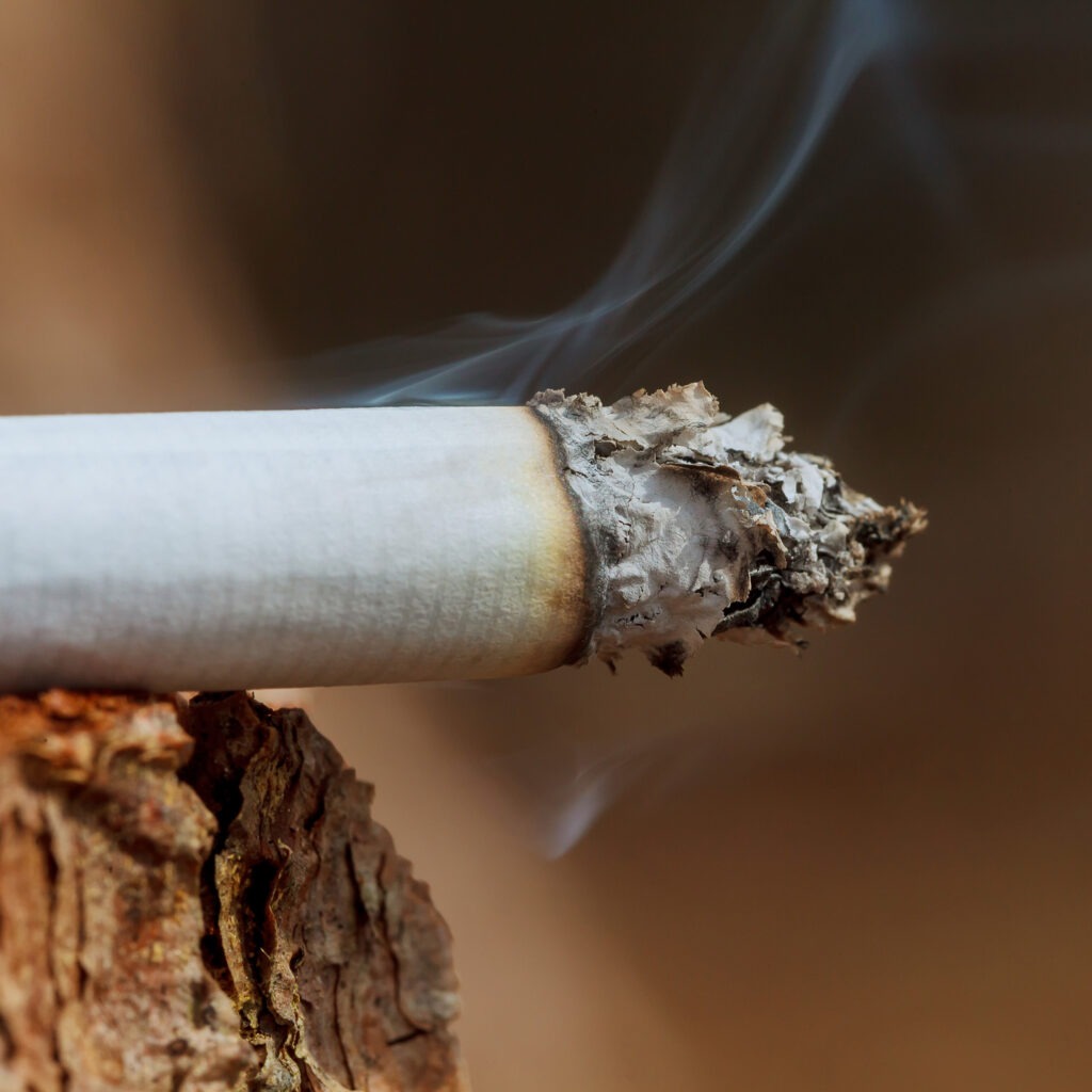 Co to jest nikotyna w papierosach?